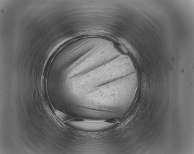 X0000085010932200703261151