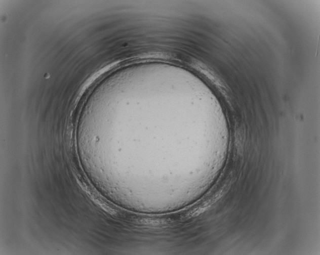 X0000085010933200703261151