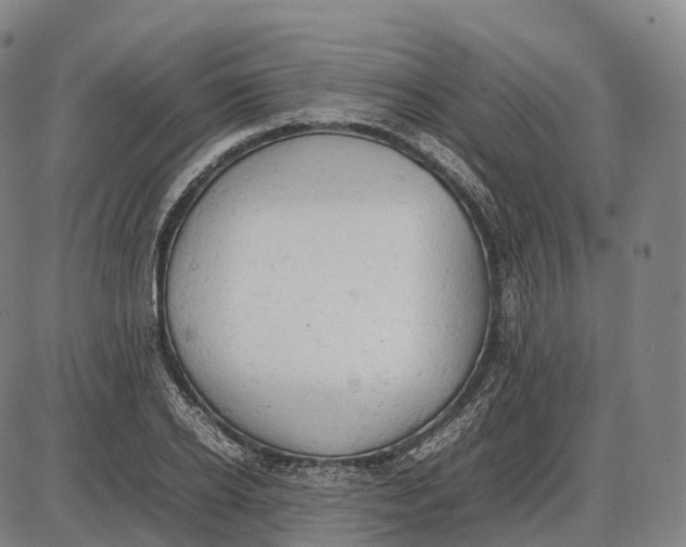 X0000085010934200703261151