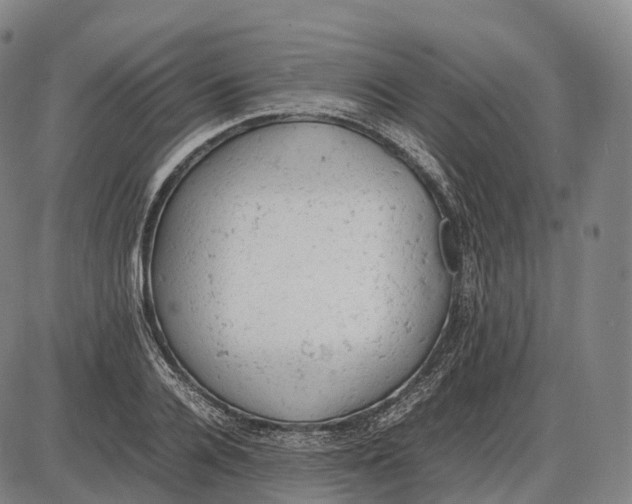 X0000085010936200703261151