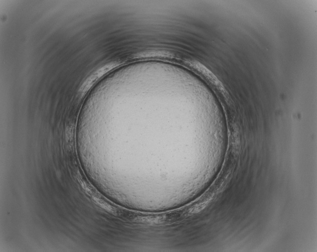 X0000085010937200703261151