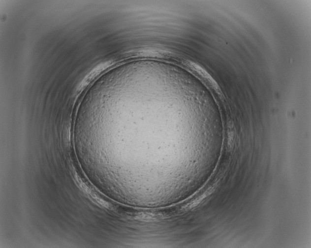 X0000085010938200703261151