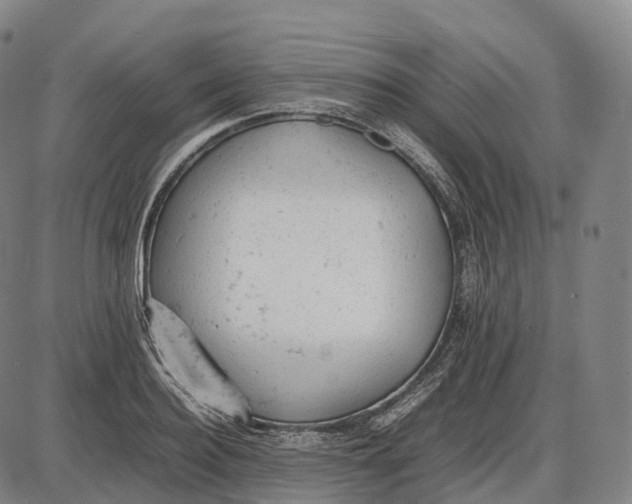 X0000085010940200703261151