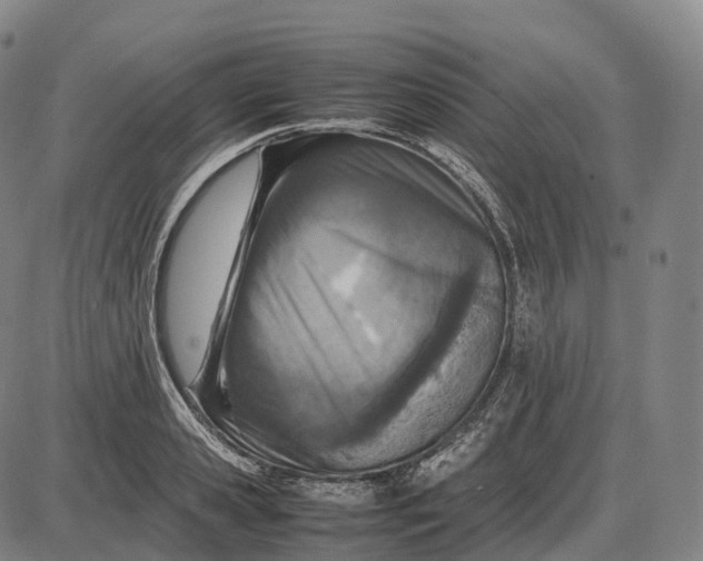 X0000085010941200703261151