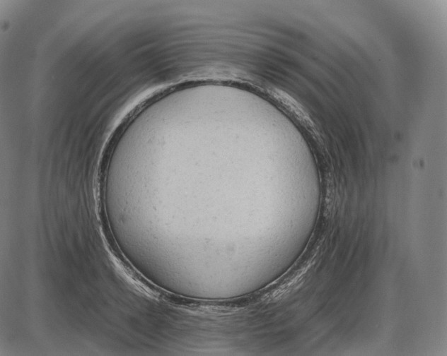 X0000085010942200703261151