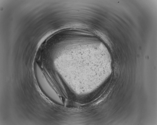 X0000085010944200703261151