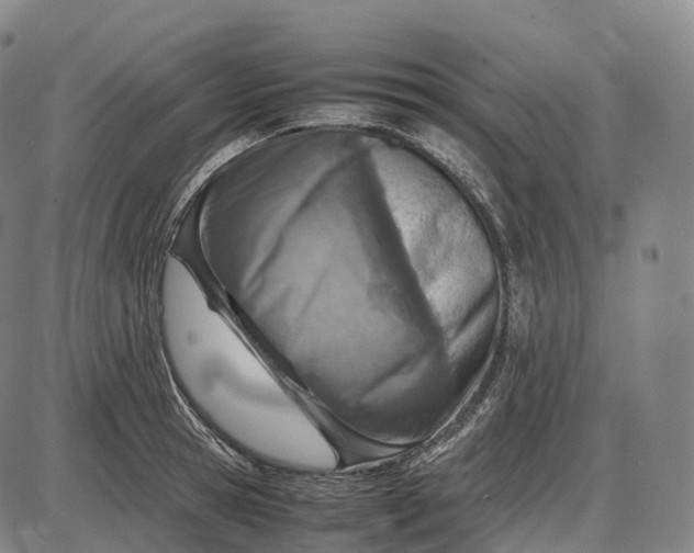 X0000085010945200703261151