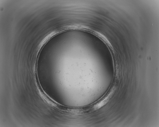 X0000085010946200703261151