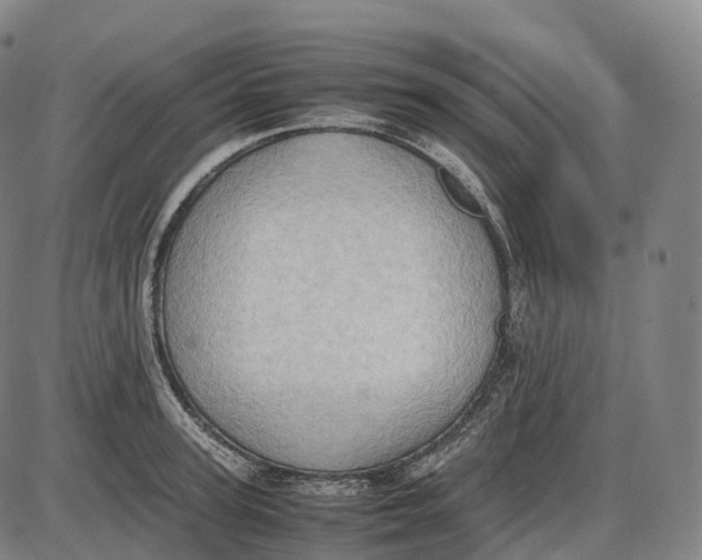 X0000085010947200703261151