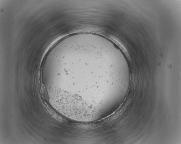 X0000085010948200703261151