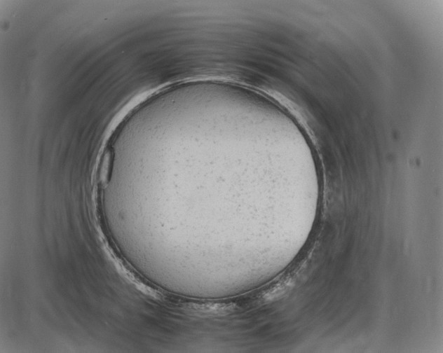 X0000085010949200703261151