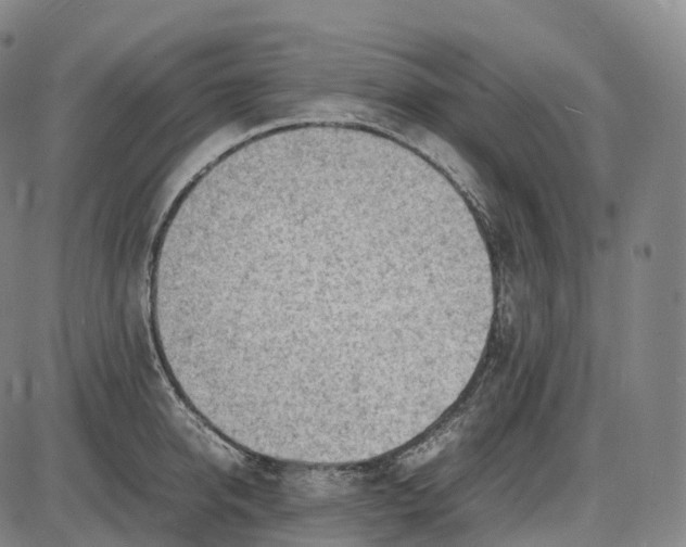 X0000085010950200703261151