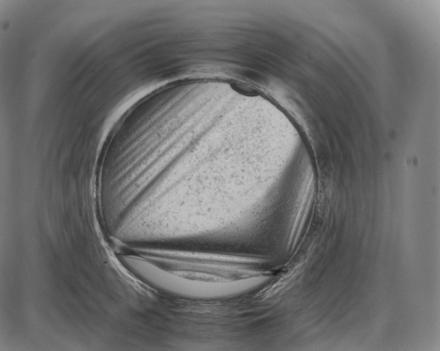 X0000085010951200703261151