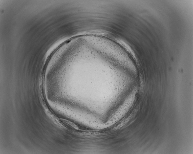 X0000085010952200703261151