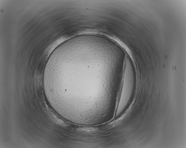 X0000085010953200703261151