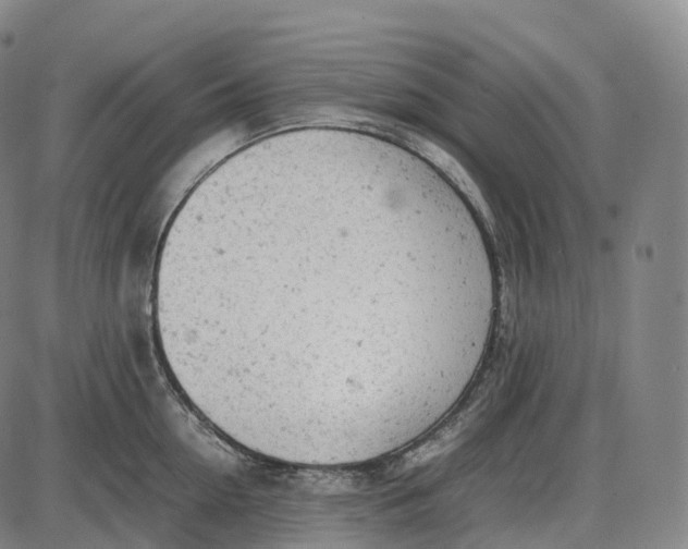 X0000085010954200703261151