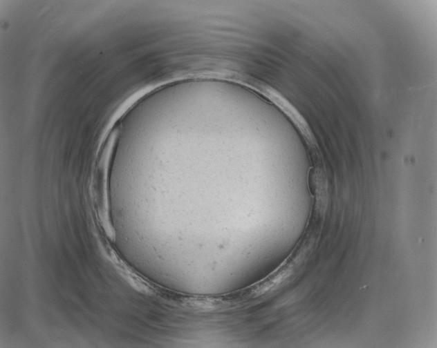 X0000085010956200703261151