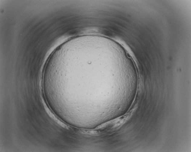 X0000085010957200703261151