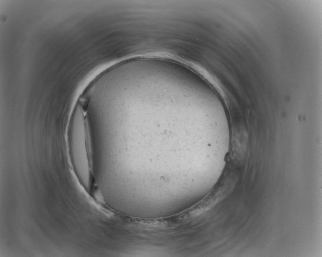 X0000085010959200703261151