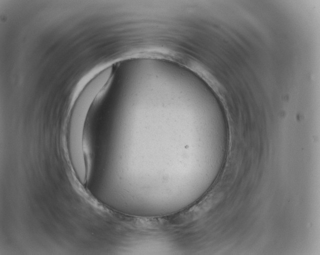 X0000085010960200703261151