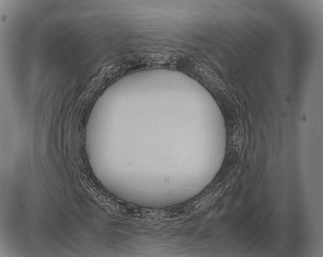 X0000085010961200703261150