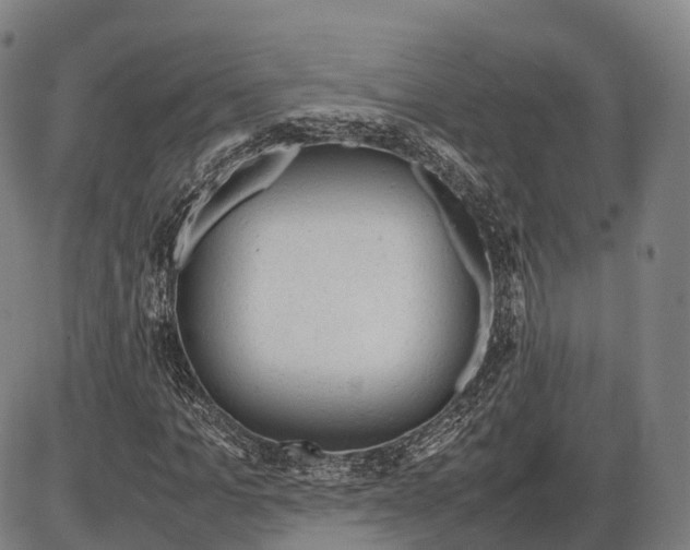 X0000085010965200703261150