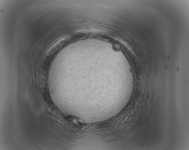 X0000085010967200703261150