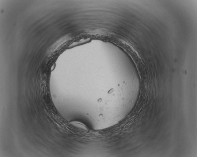 X0000085010968200703261150