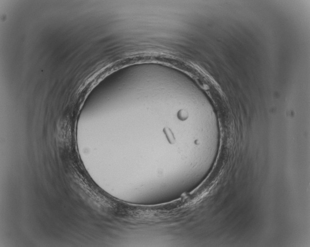 X0000085010969200703261150