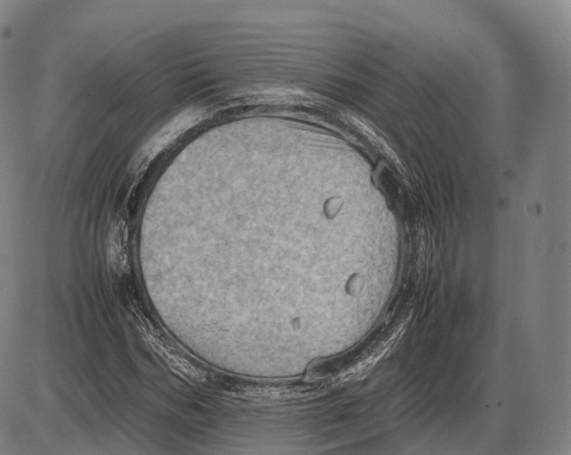 X0000085010970200703261150