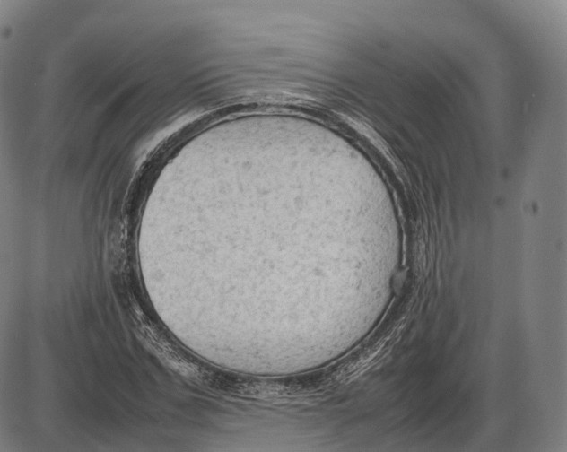 X0000085010971200703261150