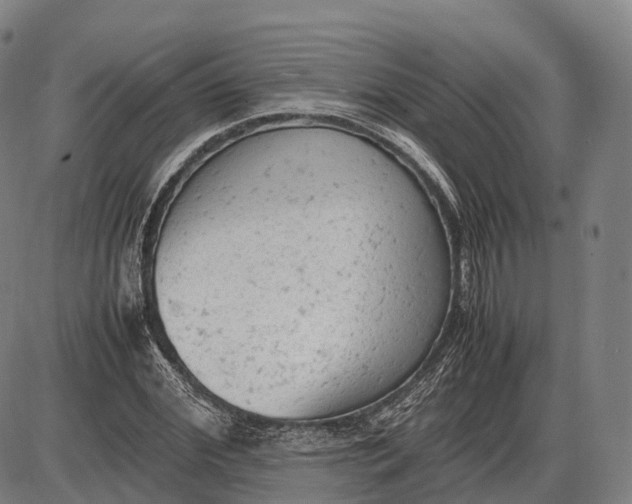 X0000085010972200703261150