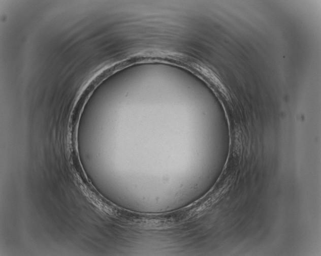 X0000085010976200703261150