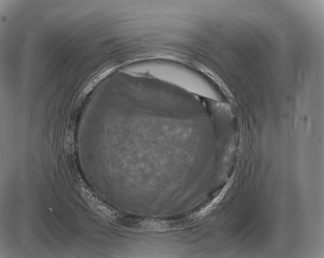 X0000085010977200703261150