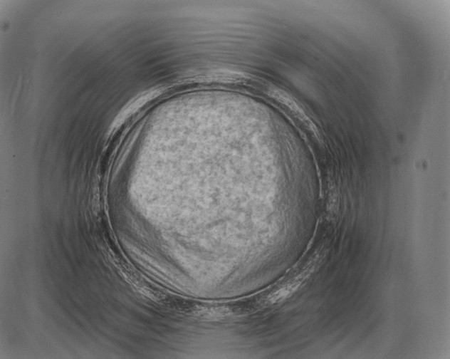 X0000085010978200703261150