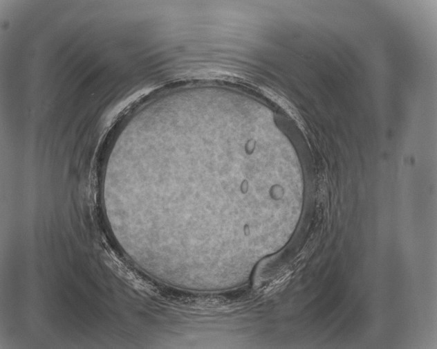 X0000085010979200703261150