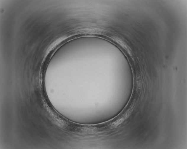 X0000085010981200703261150