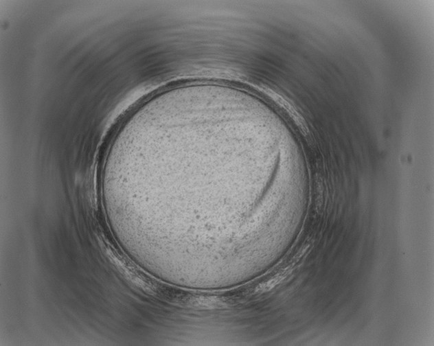 X0000085010982200703261150