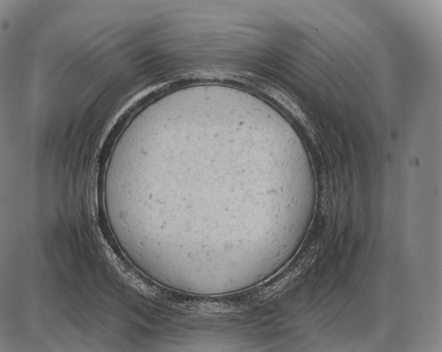 X0000085010984200703261150