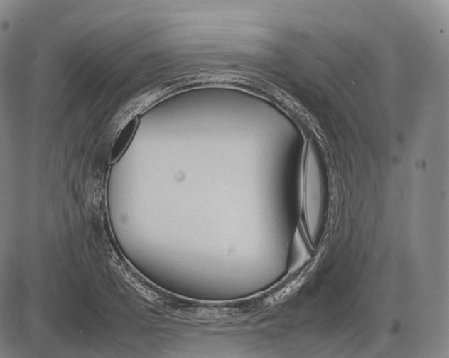 X0000085010985200703261150