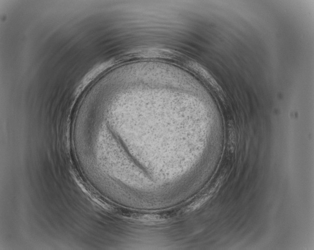 X0000085010986200703261150