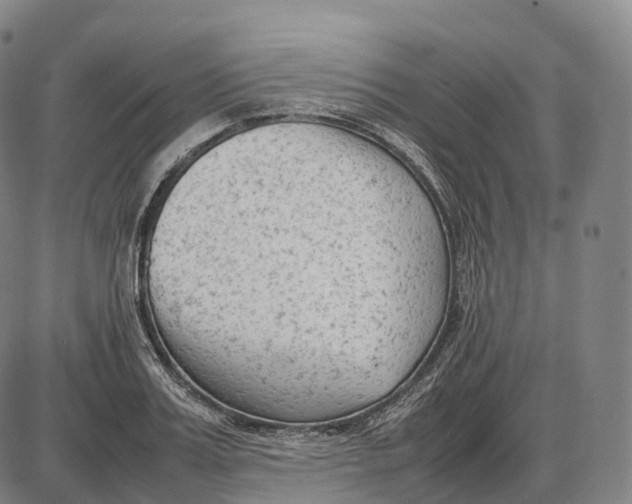 X0000085010987200703261150