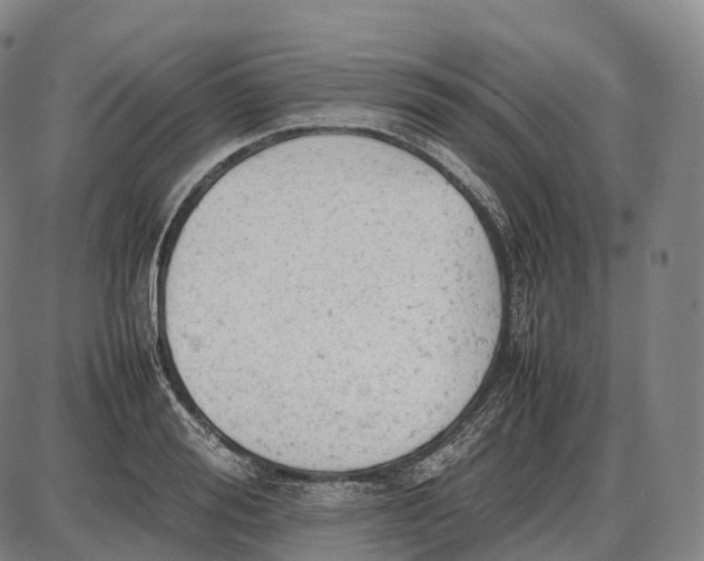 X0000085010988200703261150