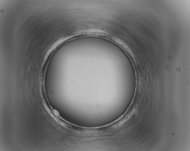 X0000085010989200703261150