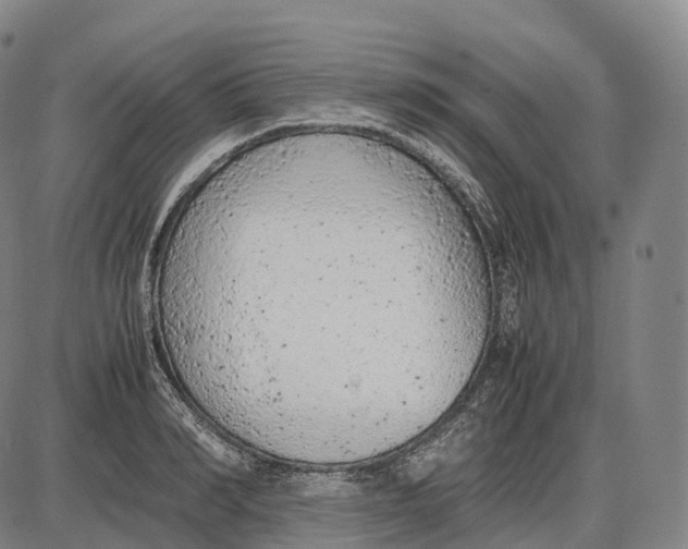 X0000085010990200703261150