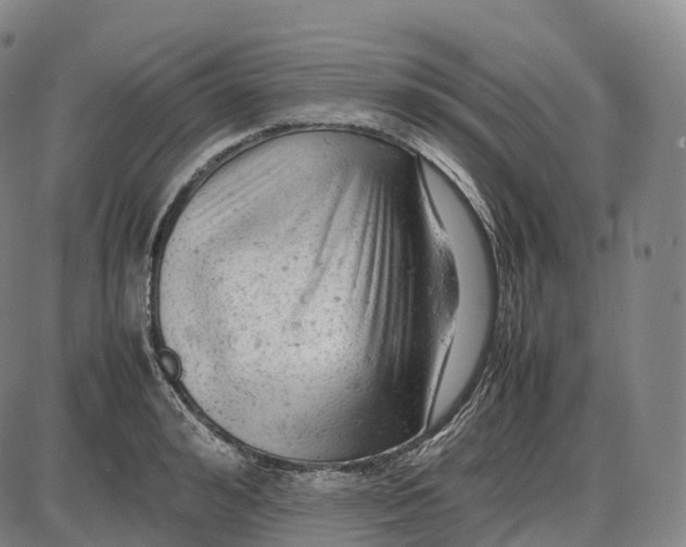 X0000085010992200703261150