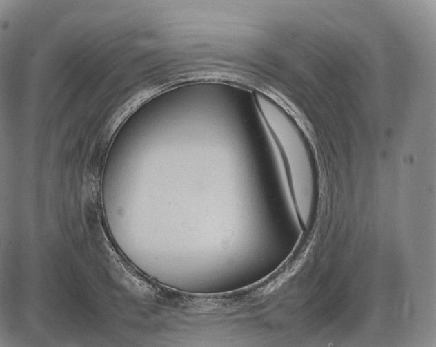 X0000085010993200703261150