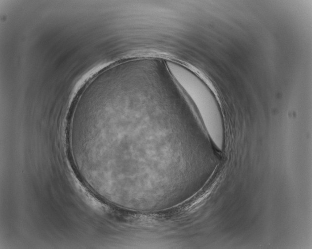 X0000085010995200703261150