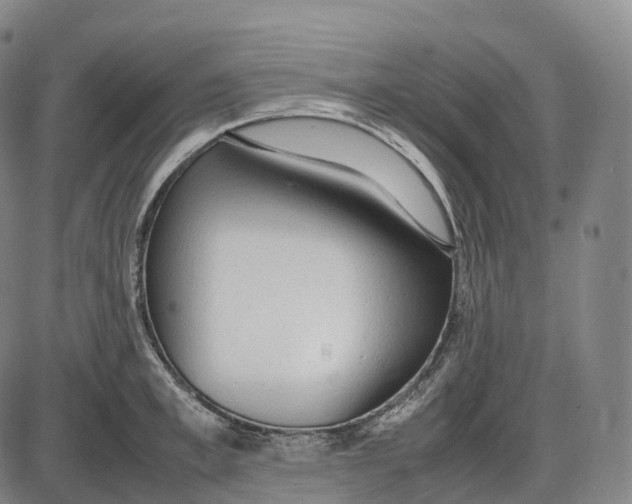 X0000085010997200703261150