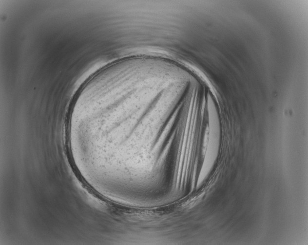 X0000085010999200703261150